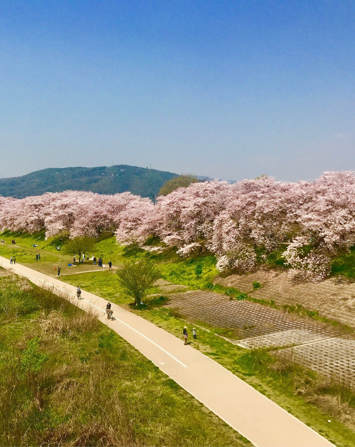 🏞️ 오토코야마 전망대(오토코야마 텐보다이) 이미지 7